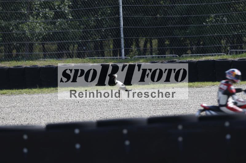 /40 24.08.2026  Cornu Master School ADR/Impressionen